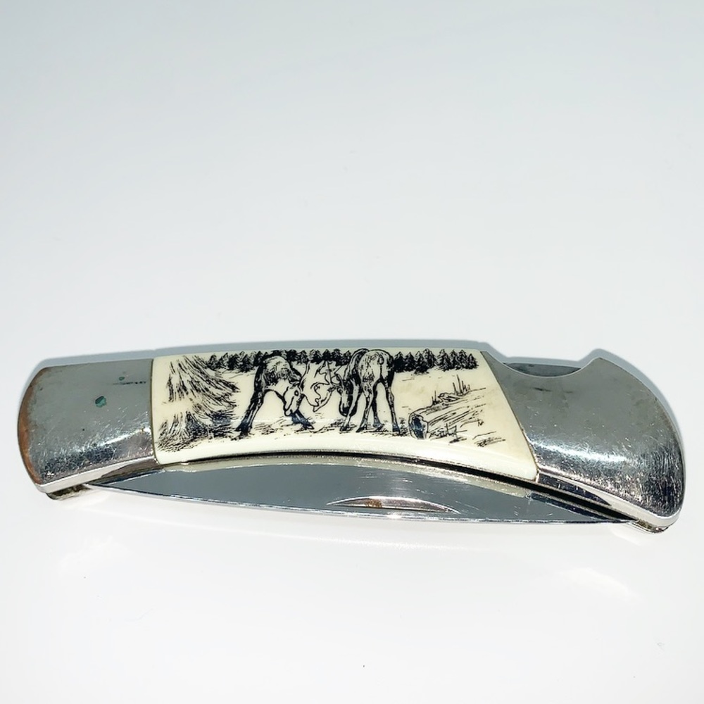 Sabre Stainless Knife w/ Moose Scrimshaw